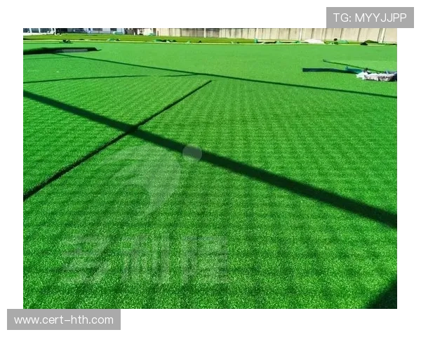 足球场馆可持续改造，绿色认证标准